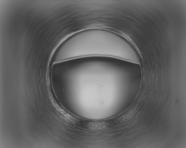 X0000054370939200507290827