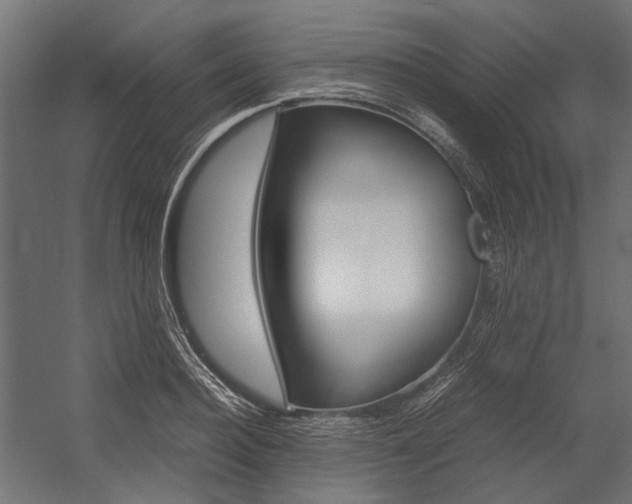 X0000054370940200507290827