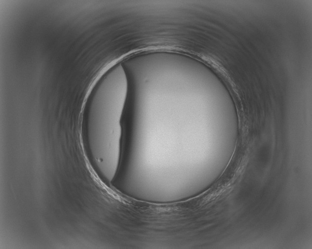 X0000054370941200507290827