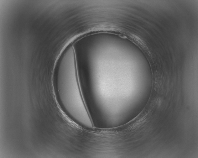 X0000054370942200507290827