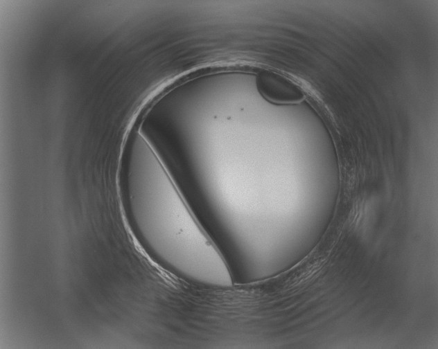 X0000054370943200507290827