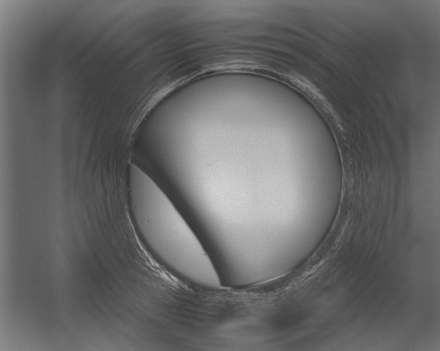 X0000054370945200507290827