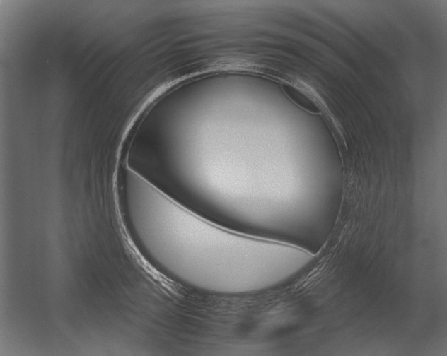 X0000054370947200507290827