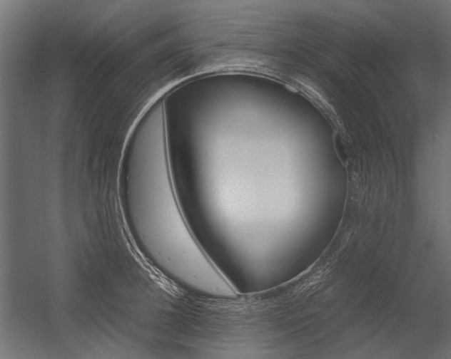 X0000054370948200507290827