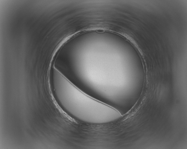 X0000054370949200507290827