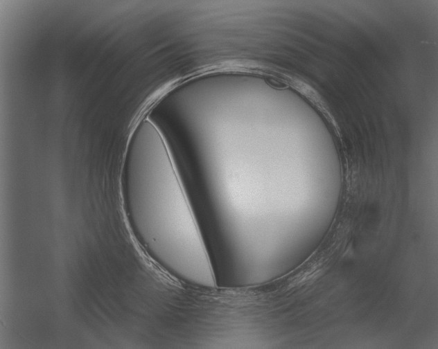 X0000054370954200507290827