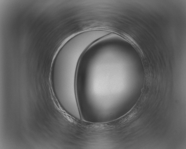 X0000054370956200507290827