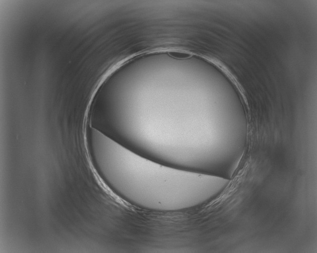 X0000054370957200507290827