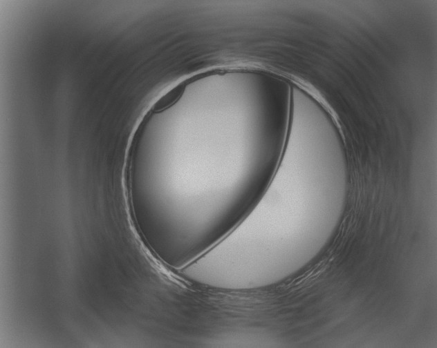 X0000054370959200507290827