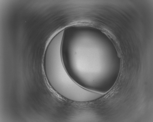 X0000054370960200507290827