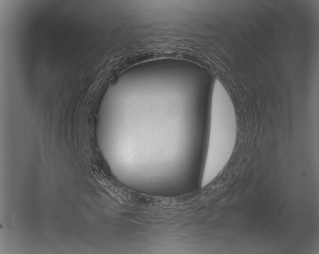X0000054370961200507290827