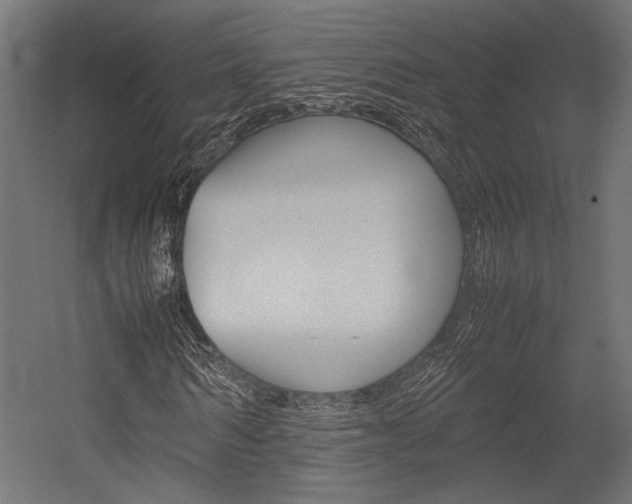 X0000054370962200507290827