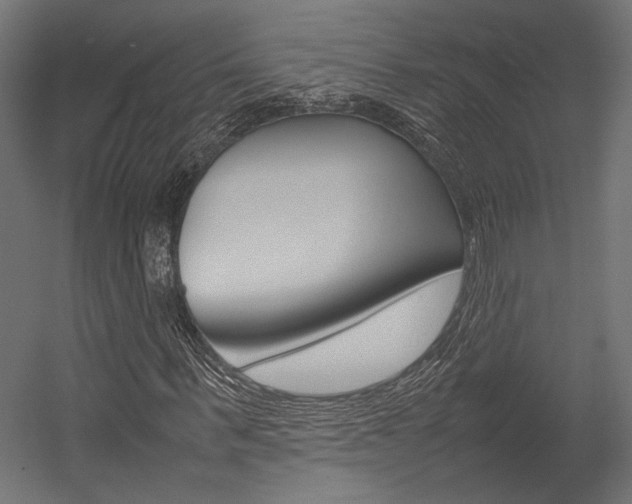 X0000054370963200507290827