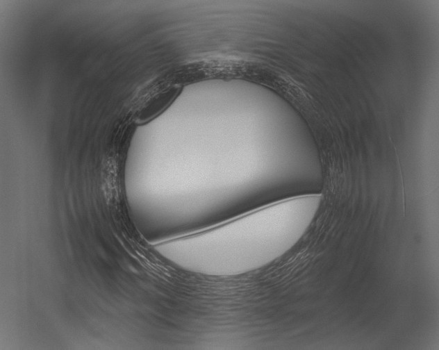 X0000054370964200507290827