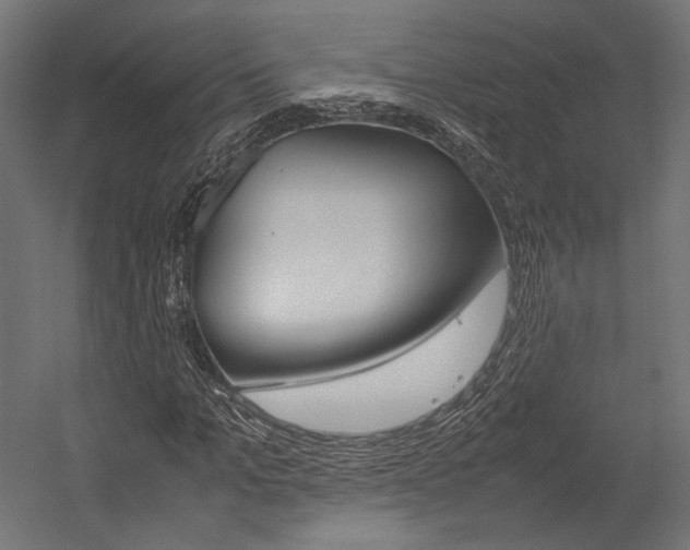 X0000054370965200507290827