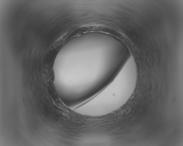 X0000054370967200507290826