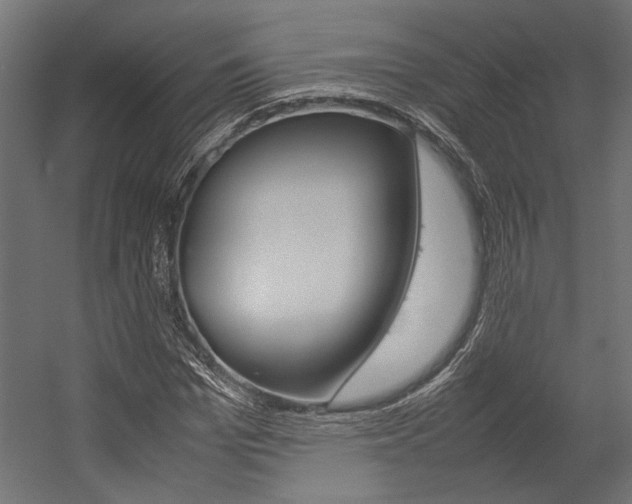 X0000054370969200507290826