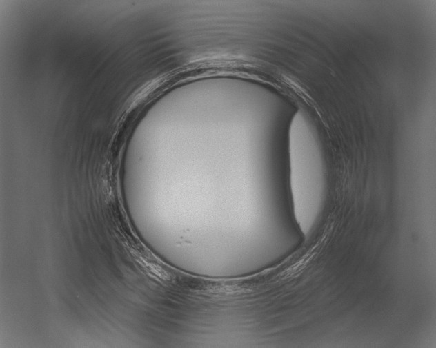 X0000054370970200507290826