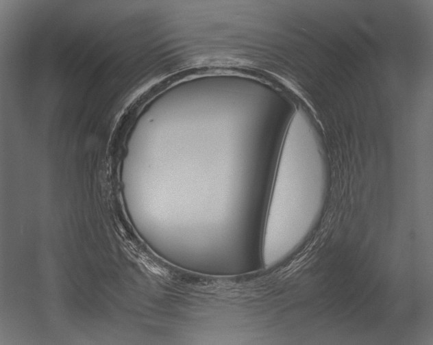 X0000054370971200507290826