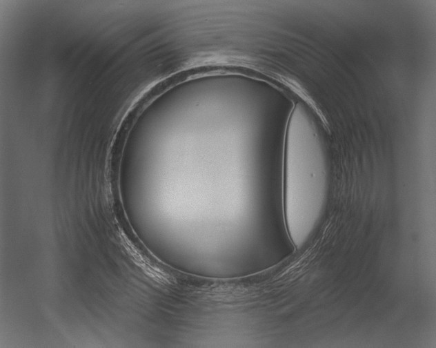 X0000054370972200507290826
