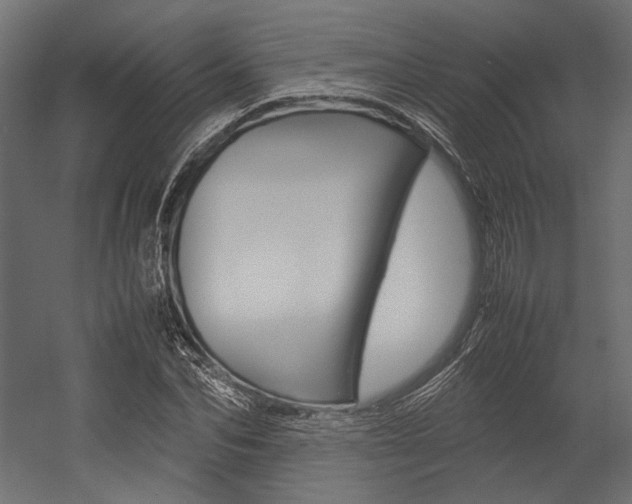 X0000054370974200507290826