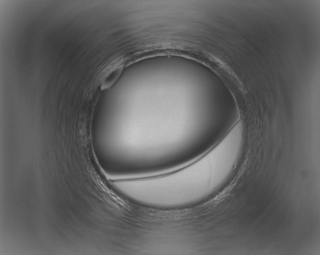 X0000054370977200507290826