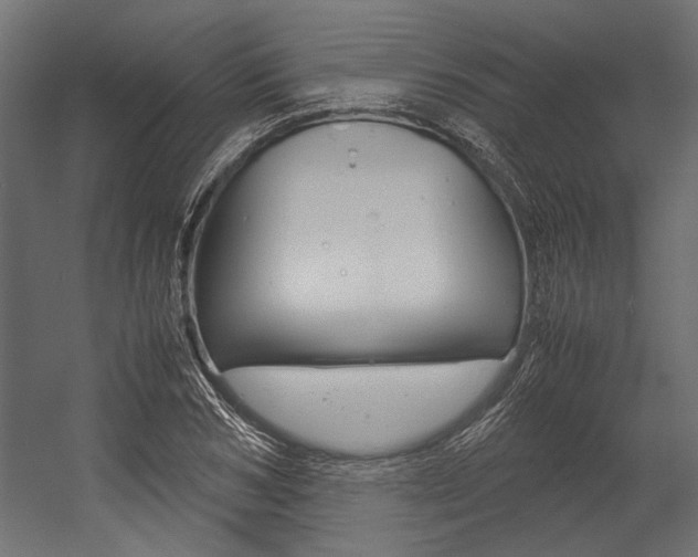 X0000054370978200507290826
