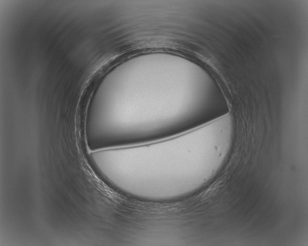 X0000054370979200507290826