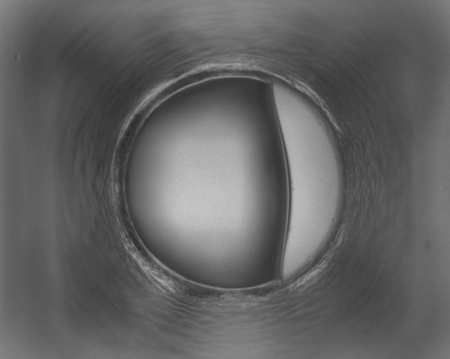 X0000054370981200507290826