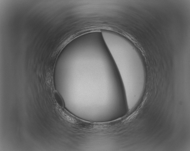 X0000054370985200507290826