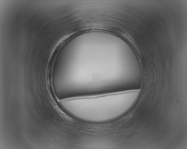 X0000054370987200507290826