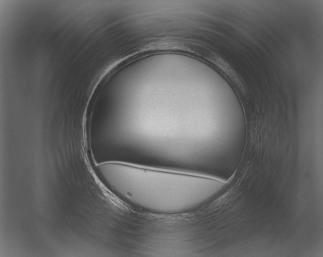 X0000054370988200507290826
