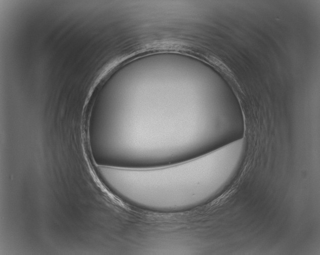 X0000054370989200507290826