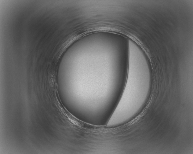 X0000054370993200507290826