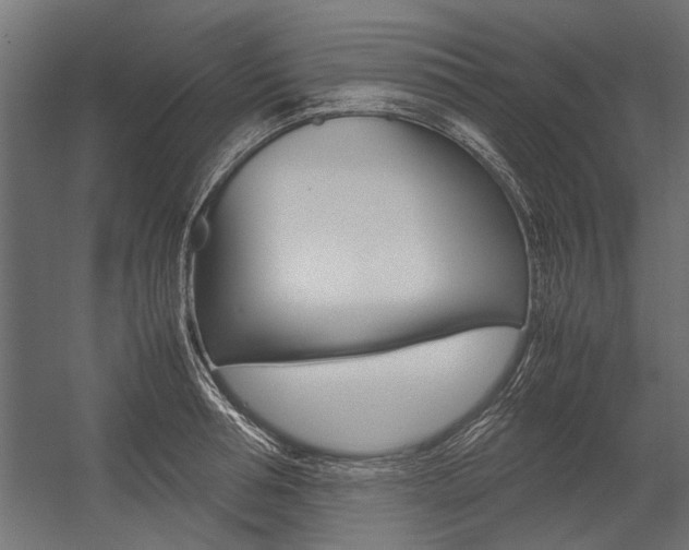 X0000054370994200507290826
