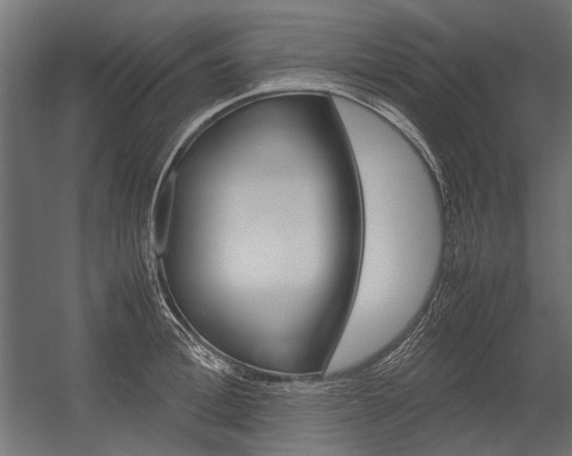 X0000054370996200507290826