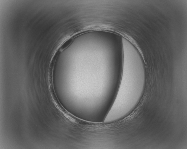 X0000054370997200507290826