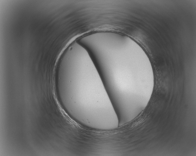 X0000054371000200507290826