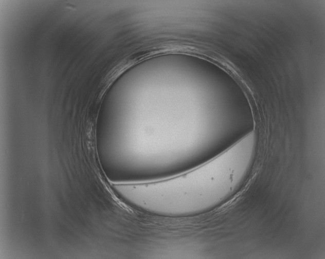 X0000054371001200507290826