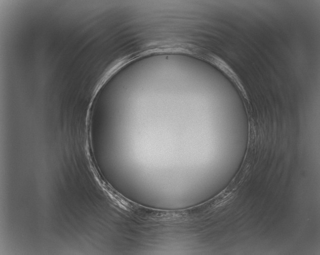 X0000054371002200507290826