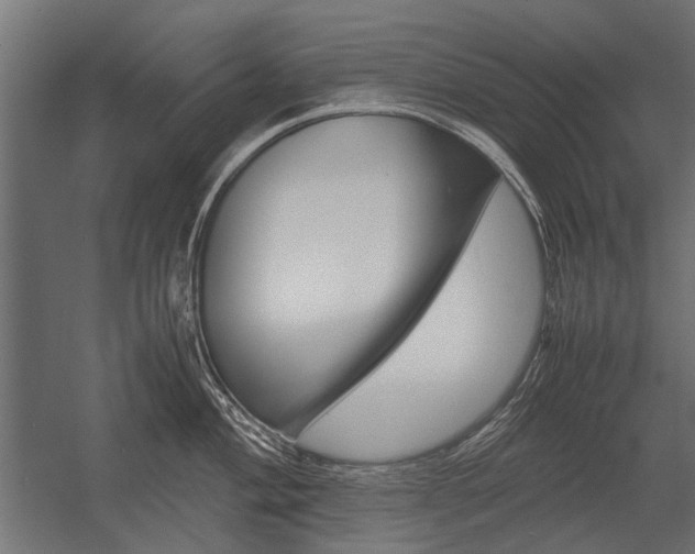X0000054371004200507290826