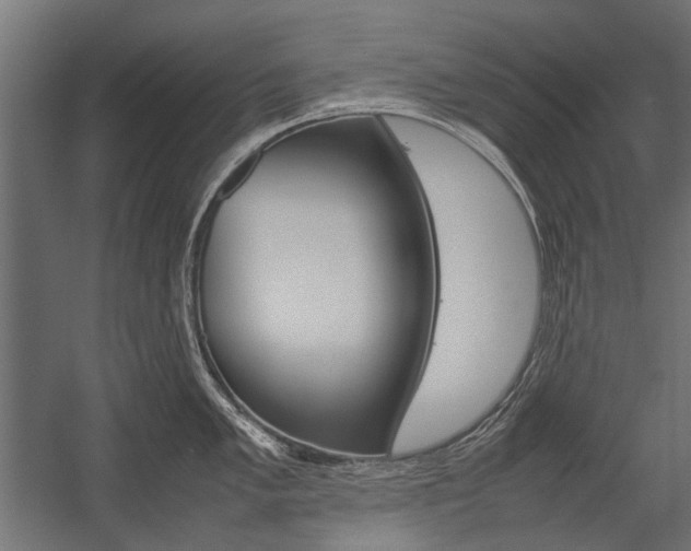 X0000054371005200507290826