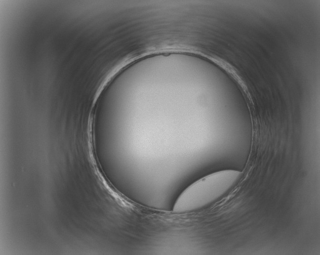 X0000054371006200507290826