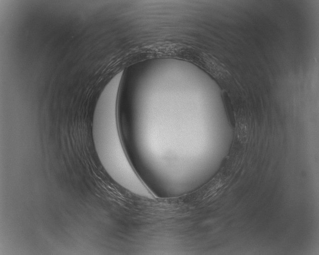 X0000054371010200507290825