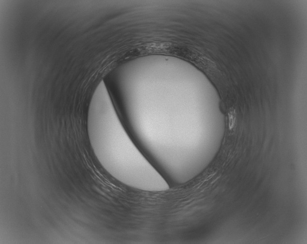 X0000054371011200507290825