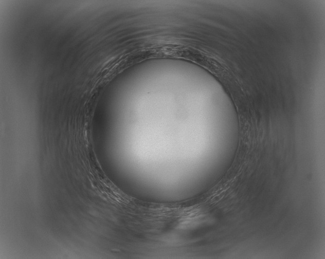 X0000054371013200507290825