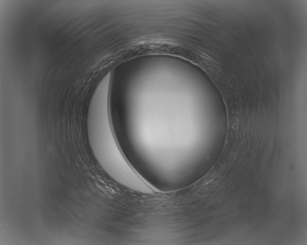 X0000054371014200507290825