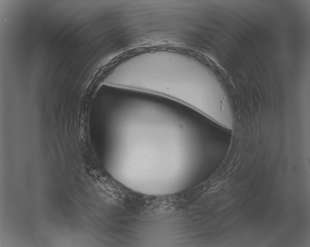 X0000054371016200507290825