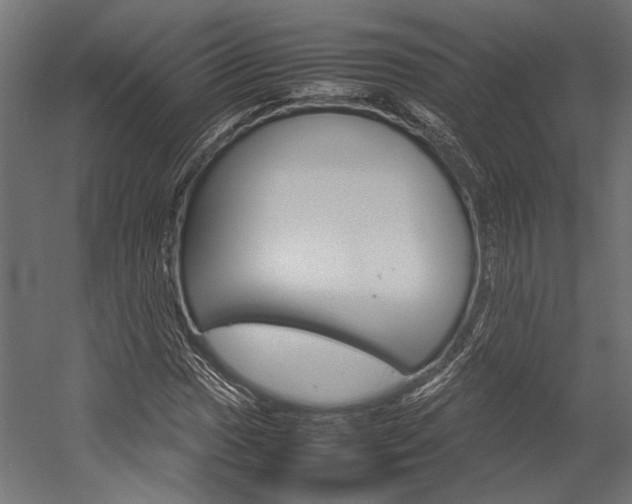 X0000054371017200507290825