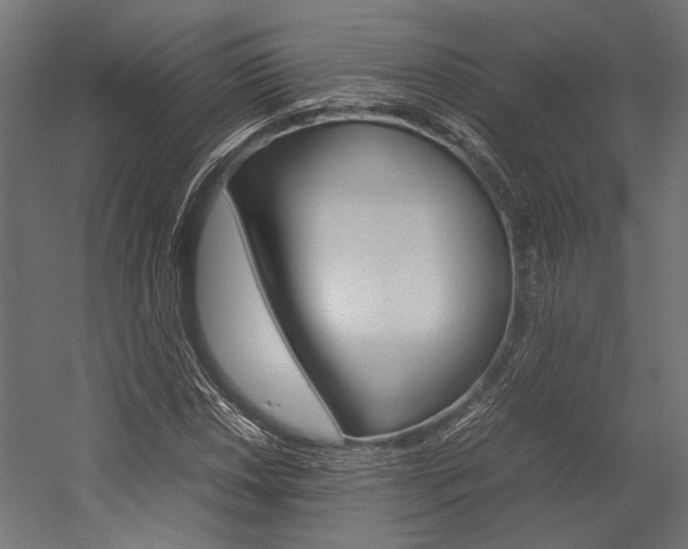 X0000054371018200507290825